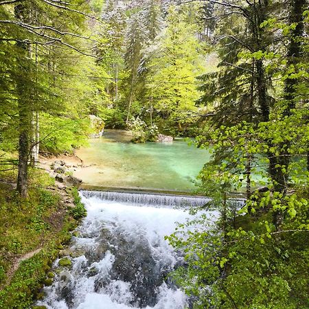 Vila Skalca Kamniska Bistrica Exteriér fotografie