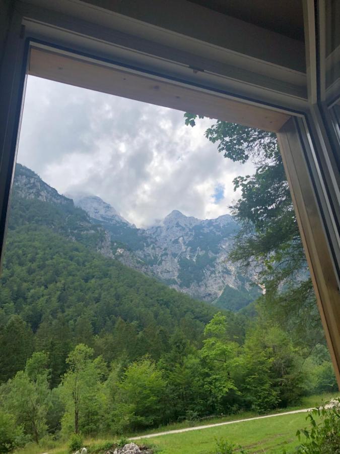 Vila Skalca Kamniska Bistrica Exteriér fotografie