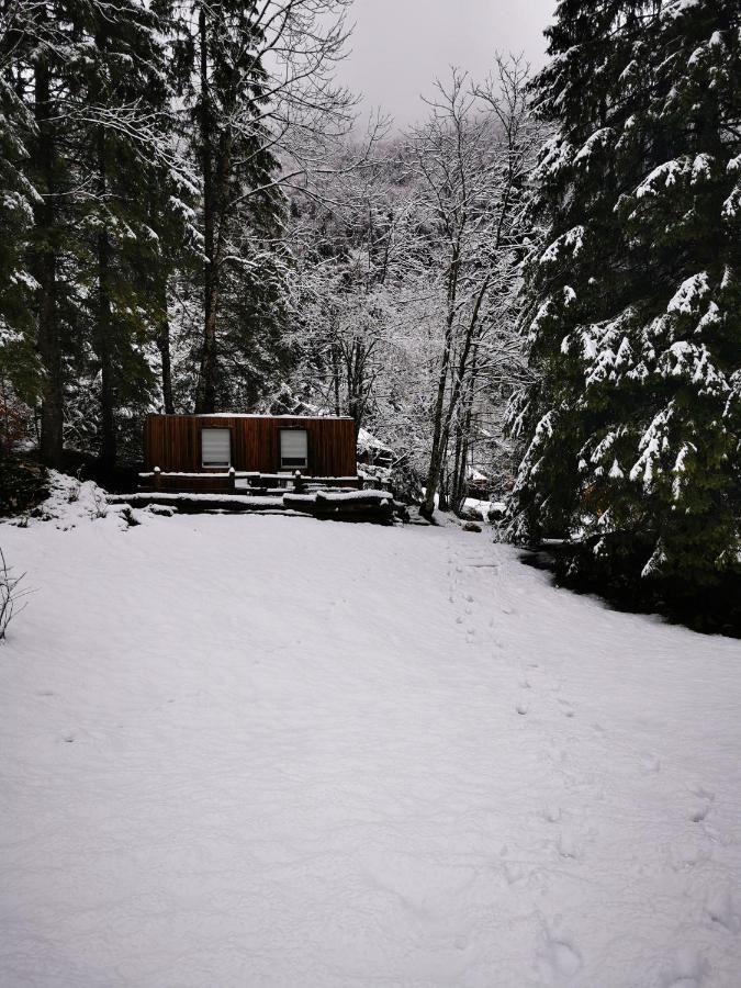 Vila Skalca Kamniska Bistrica Exteriér fotografie