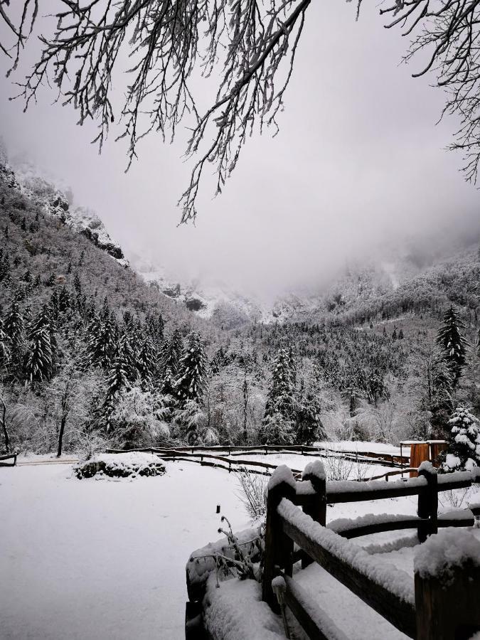 Vila Skalca Kamniska Bistrica Exteriér fotografie